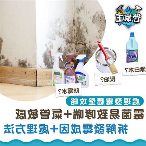牆壁 發霉 處理